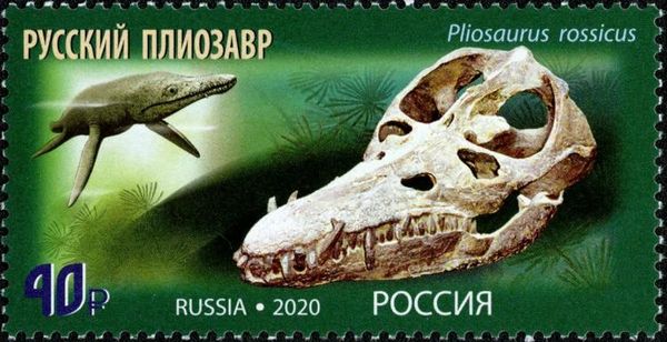 Pliosaurus rossicus