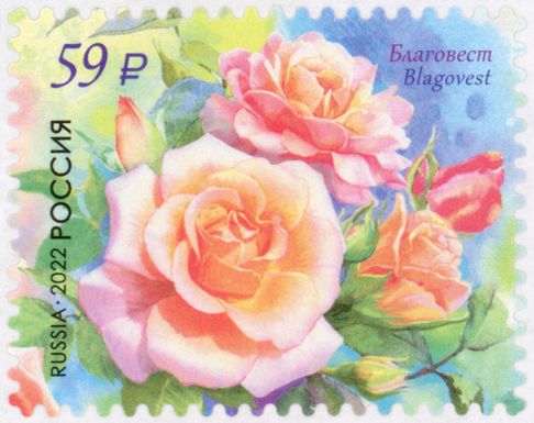 Blagovest Rose