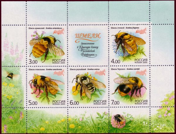 Fauna - Bumblebees