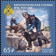 Dog Search and Rescue