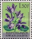 Schizoglossum eximium overprinted "REPUBLIQUE RWANDAISE"