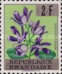 Schizoglossum eximium overprinted "REPUBLIQUE RWANDAISE"