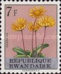 Gerbera discolor overprinted "REPUBLIQUE RWANDAISE"