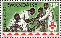 Laboratory examination