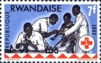 Laboratory examination