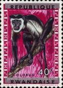 Mantled Guereza (Colobus guereza)