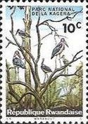 Marabou Stork (Leptoptilos crumeniferus)