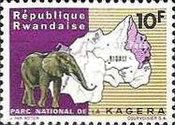 African Elephant (Loxodonta africana)
