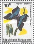 Broad Green-banded Swallowtail (Papilio bromius)
