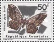 Moth (Athletes gigas)