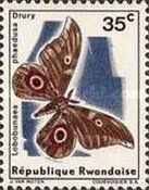 Moth (Lobobunaea phaedusa)