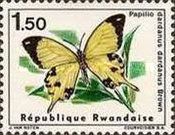 African Swallowtail (Papilio dardanus)