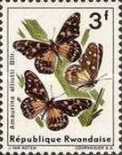 Ansorge's Danaid (Amauris ellioti)