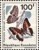 Charaxes Butterfly (Charaxes ansorgei ssp. ruandana)