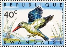 Woodland Kingfisher (Halcyon senegalensis)