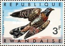 Red-chested Cuckoo (Cuculus solitarius)
