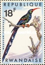 Green Woodhoopoe (Phoeniculus purpureus ssp. ruwenzorae)