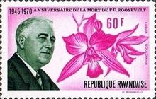F. D. Roosevelt and Laelia gouldiana