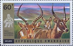 Impala (Aepyceros melampus), Waterbuck (Kobus sp.)