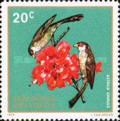 Common Waxbill (Estrilda astrild), Hibiscus