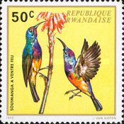 Variable Sunbird (Nectarinia venusta)