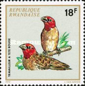 Red-headed Quelea (Quelea erythrops)