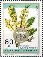 Erythroxylum novogranatense overprint