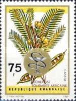 Cassia kirkii, overprint