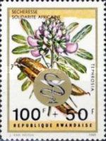 Tephrosia vogeli, overprint