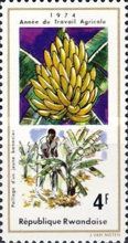 Bananas