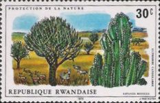 Antelope and zebra in the savanna