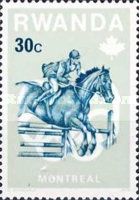 Show Jumping