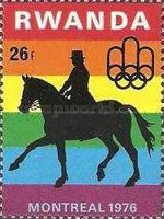 Horse Riding