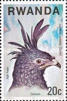 Long-crested Eagle (Lophaetus occipitalis)