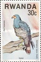 African Harrier-Hawk (Gymnogenys typicus)