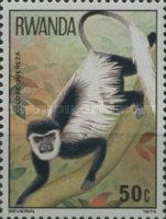 Mantled Guereza (Colobus guereza)
