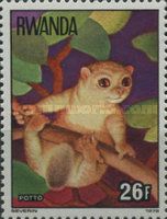 East African Potto (Perodicticus potto)