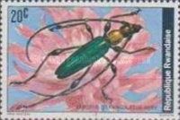 Longhorn Beetle (Euporus strangulatus)