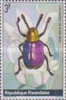Leaf Beetle (Corynodes dejeani)
