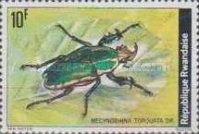 Flower Chafer (Mecynorhina torquata)