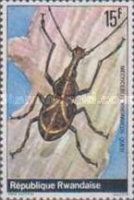 Fungus Weevil (Mecocerus rhombeus)