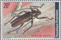 Longhorn Beetle (Macrotoma serripes)