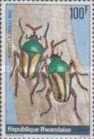 Flamboyant Flower Beetle (Eudicella gralli)