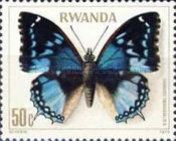 Western Blue Charaxes (Charaxes smaragdalis caerulea)