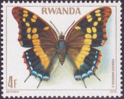Blue-spangled Emperor (Charaxes guderiana)