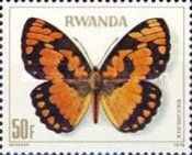 Common Joker (Byblia acheloia)