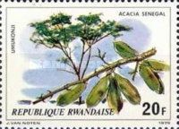 Acacia senegal