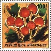 Mycena