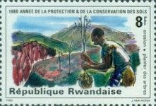 Reforestation