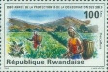 Soil Conservation Year